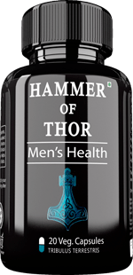 Hammer of Thor